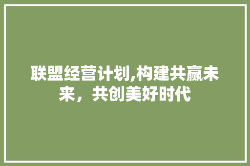 联盟经营计划,构建共赢未来，共创美好时代
