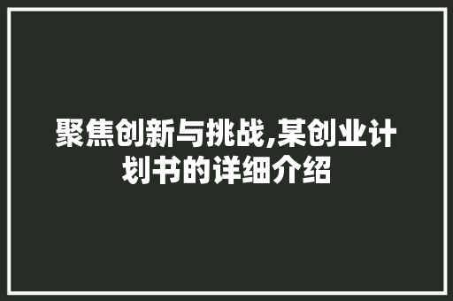 聚焦创新与挑战,某创业计划书的详细介绍