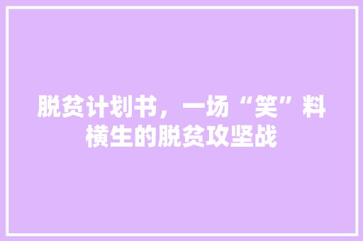 脱贫计划书，一场“笑”料横生的脱贫攻坚战