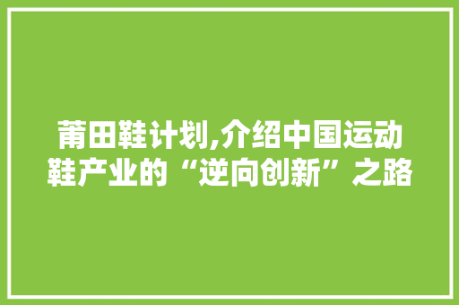 莆田鞋计划,介绍中国运动鞋产业的“逆向创新”之路