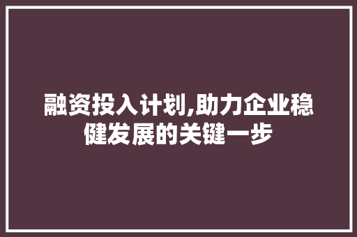 融资投入计划,助力企业稳健发展的关键一步