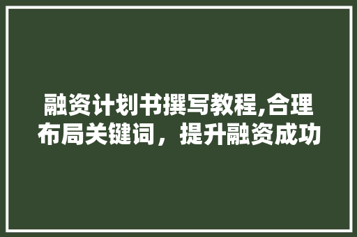 融资计划书撰写教程,合理布局关键词，提升融资成功率