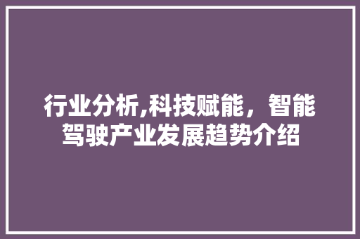 行业分析,科技赋能，智能驾驶产业发展趋势介绍
