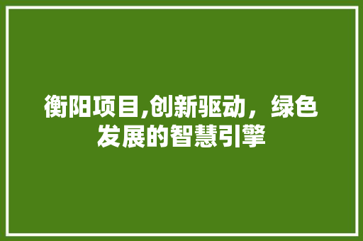 衡阳项目,创新驱动，绿色发展的智慧引擎