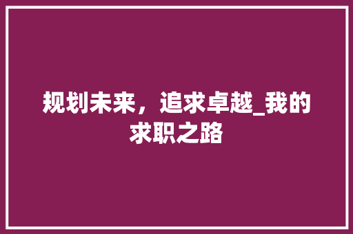 规划未来，追求卓越_我的求职之路