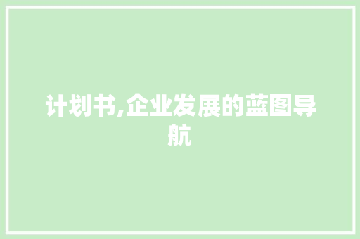 计划书,企业发展的蓝图导航