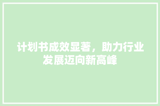 计划书成效显著，助力行业发展迈向新高峰