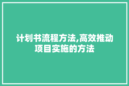 计划书流程方法,高效推动项目实施的方法