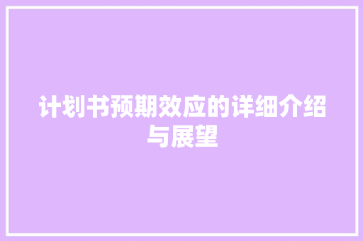 计划书预期效应的详细介绍与展望