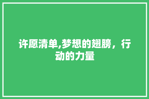 许愿清单,梦想的翅膀，行动的力量