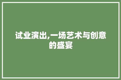 试业演出,一场艺术与创意的盛宴