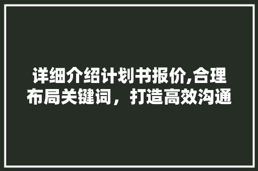 详细介绍计划书报价,合理布局关键词，打造高效沟通桥梁