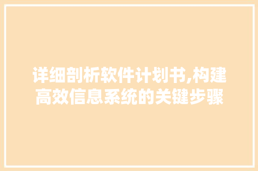 详细剖析软件计划书,构建高效信息系统的关键步骤