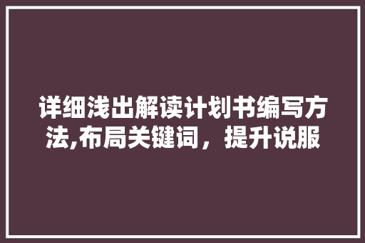 详细浅出解读计划书编写方法,布局关键词，提升说服力