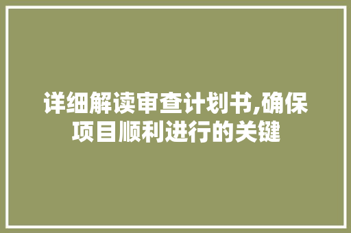 详细解读审查计划书,确保项目顺利进行的关键