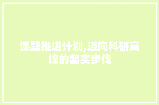 课题推进计划,迈向科研高峰的坚实步伐