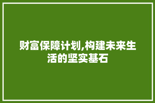 财富保障计划,构建未来生活的坚实基石