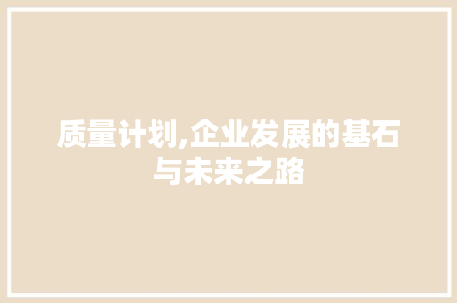 质量计划,企业发展的基石与未来之路