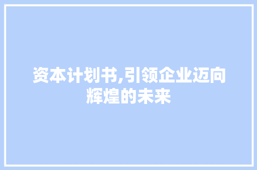 资本计划书,引领企业迈向辉煌的未来