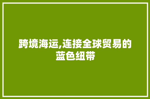 跨境海运,连接全球贸易的蓝色纽带