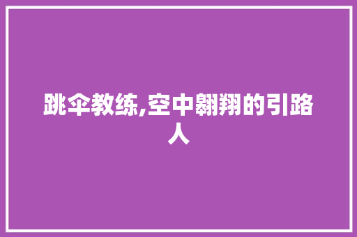 跳伞教练,空中翱翔的引路人