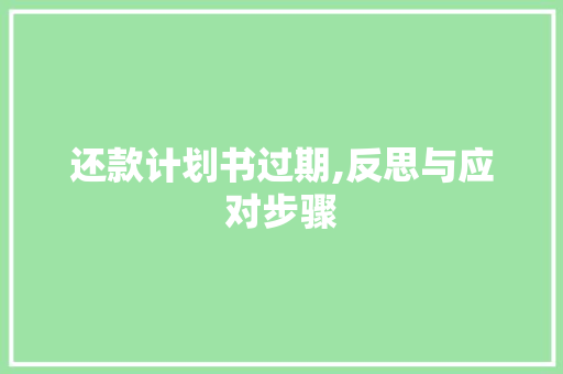 还款计划书过期,反思与应对步骤