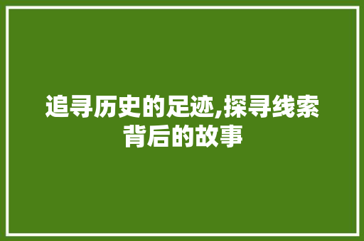 追寻历史的足迹,探寻线索背后的故事