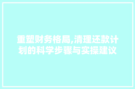 重塑财务格局,清理还款计划的科学步骤与实操建议