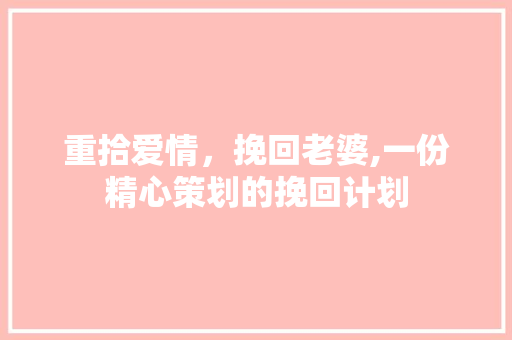 重拾爱情，挽回老婆,一份精心策划的挽回计划