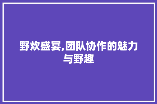 野炊盛宴,团队协作的魅力与野趣