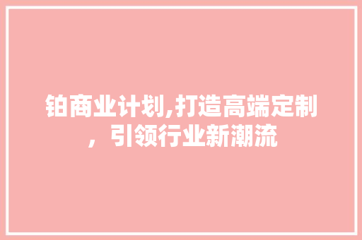 铂商业计划,打造高端定制，引领行业新潮流