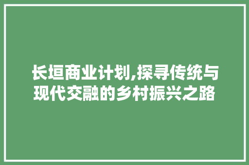 长垣商业计划,探寻传统与现代交融的乡村振兴之路