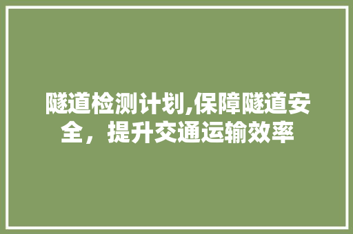 隧道检测计划,保障隧道安全，提升交通运输效率
