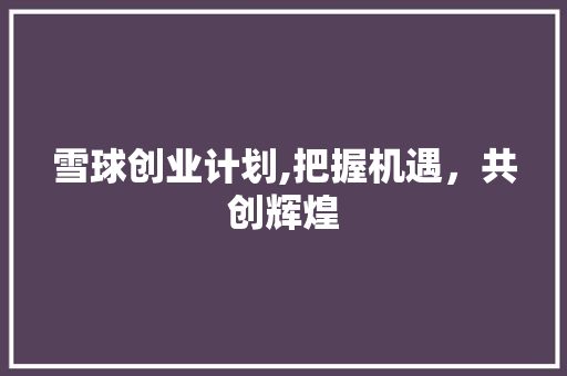 雪球创业计划,把握机遇，共创辉煌
