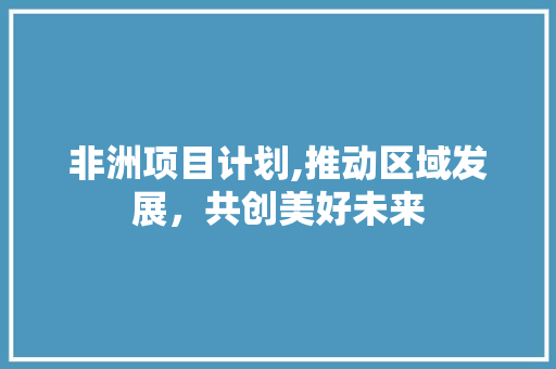 非洲项目计划,推动区域发展，共创美好未来