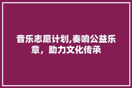 音乐志愿计划,奏响公益乐章，助力文化传承
