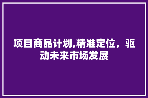 项目商品计划,精准定位，驱动未来市场发展