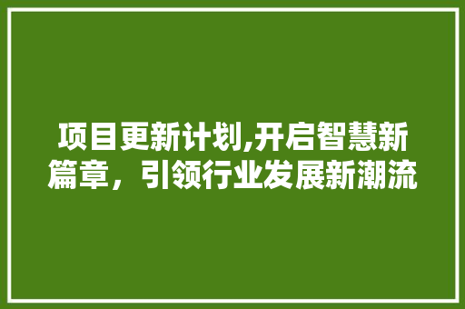项目更新计划,开启智慧新篇章，引领行业发展新潮流
