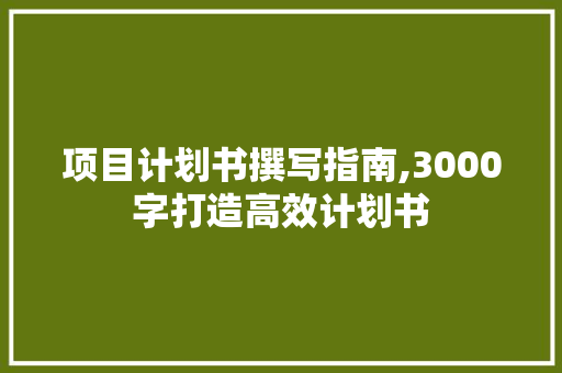 项目计划书撰写指南,3000字打造高效计划书