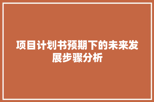 项目计划书预期下的未来发展步骤分析