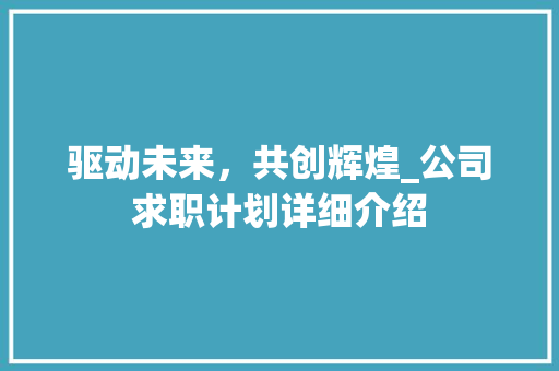 驱动未来，共创辉煌_公司求职计划详细介绍