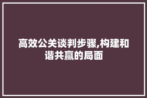 高效公关谈判步骤,构建和谐共赢的局面