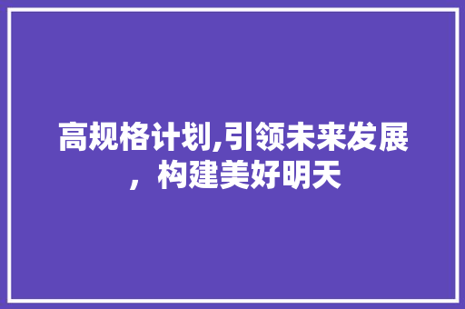 高规格计划,引领未来发展，构建美好明天