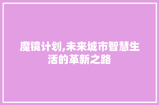 魔镜计划,未来城市智慧生活的革新之路