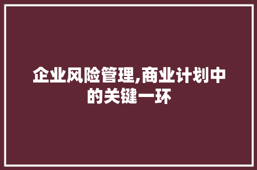 企业风险管理,商业计划中的关键一环