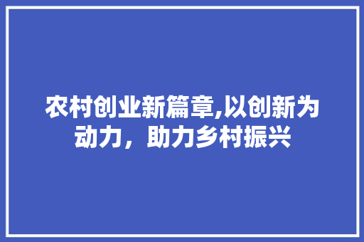 农村创业新篇章,以创新为动力，助力乡村振兴