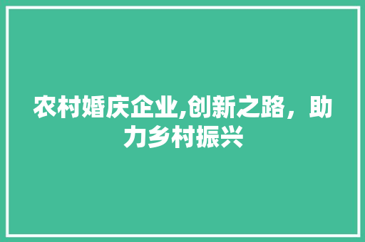 农村婚庆企业,创新之路，助力乡村振兴