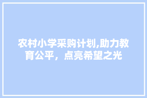 农村小学采购计划,助力教育公平，点亮希望之光 项目报告