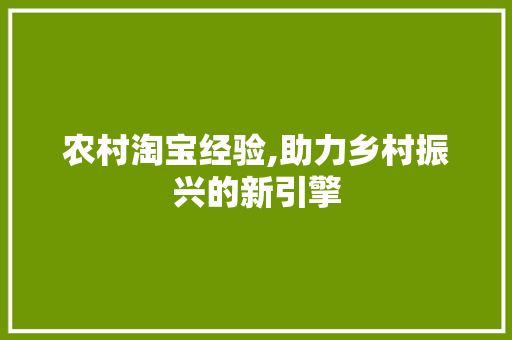 农村淘宝经验,助力乡村振兴的新引擎
