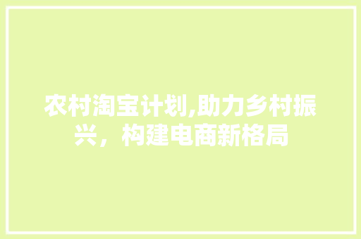 农村淘宝计划,助力乡村振兴，构建电商新格局